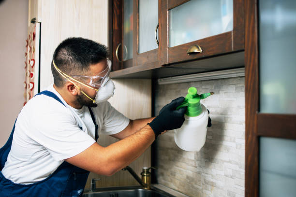 Professional Pest Control in Sherwood, AR