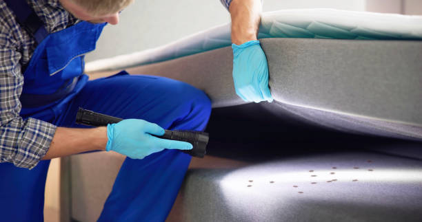 Best Pest Prevention Services  in Sherwood, AR