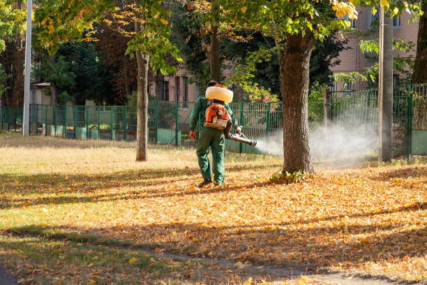 Best Spider Control Near Me  in Sherwood, AR