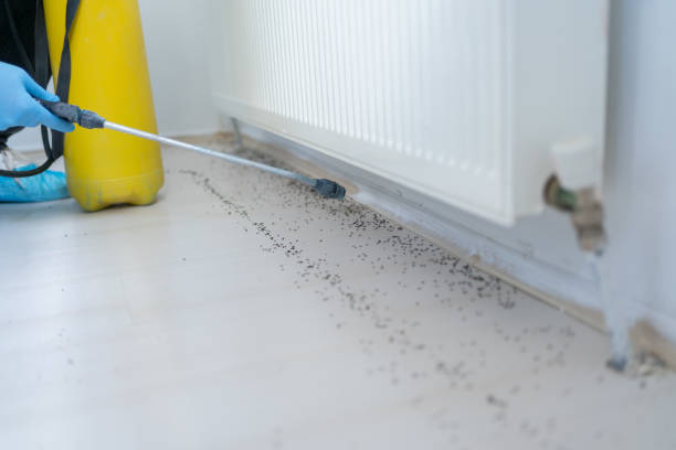 Best Cockroach Control Services  in Sherwood, AR