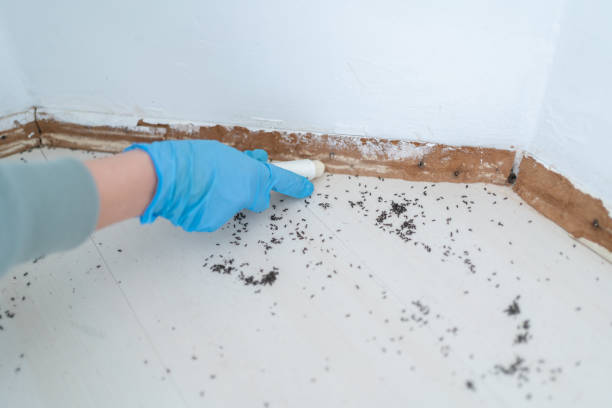 Best Best Pest Control Companies  in Sherwood, AR