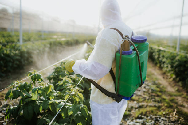 Best Pest Removal Services  in Sherwood, AR